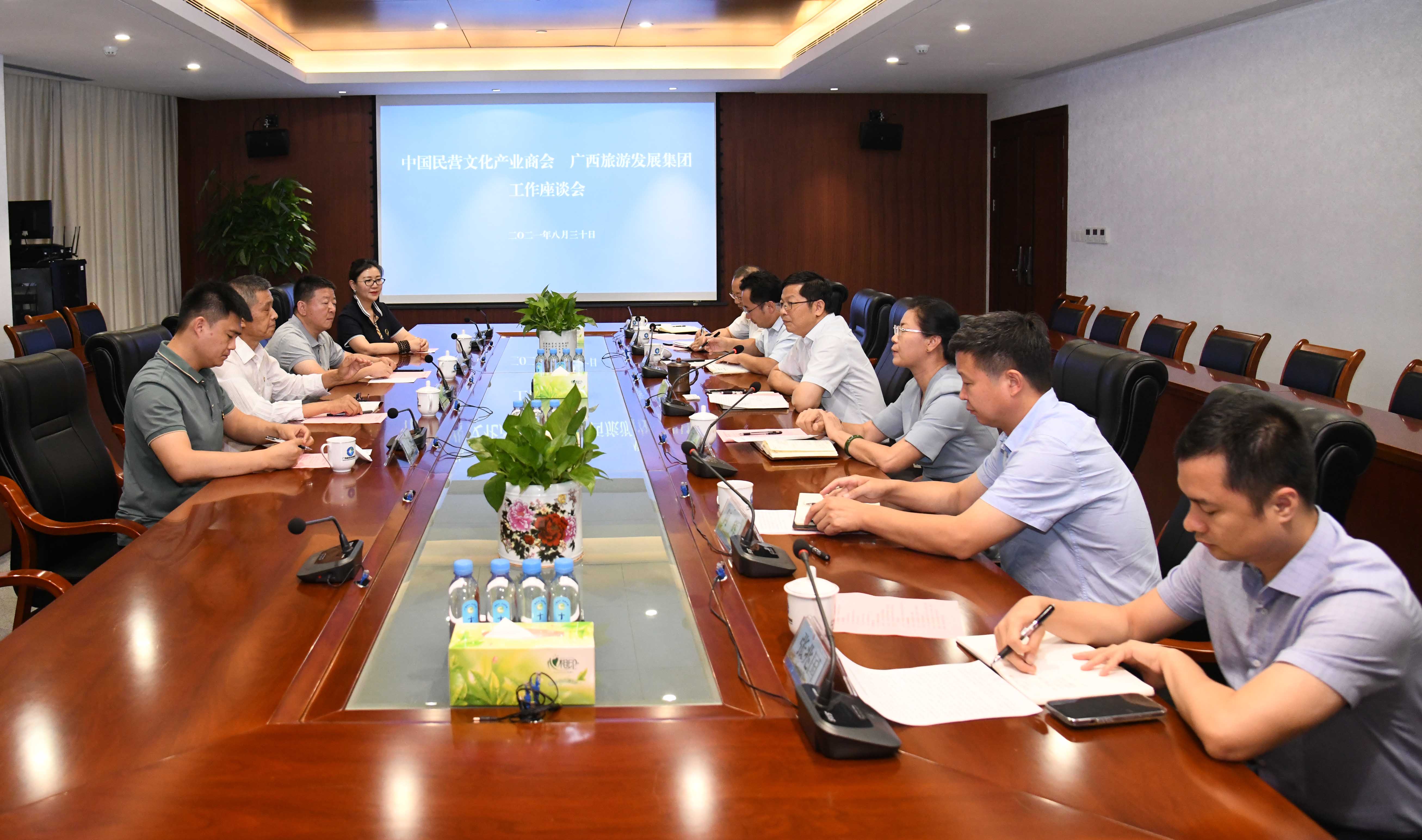 中国民营文化产业商会与广西旅发集团座谈交流